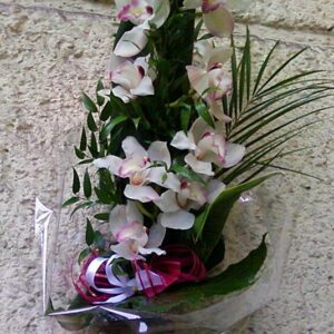 Bukiet z białej orchidei cymbidium