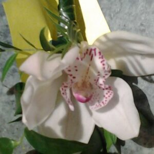 Butonierka Pana Młodego z orchidei